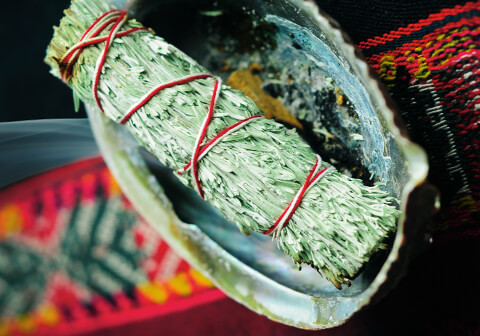 Incense plants