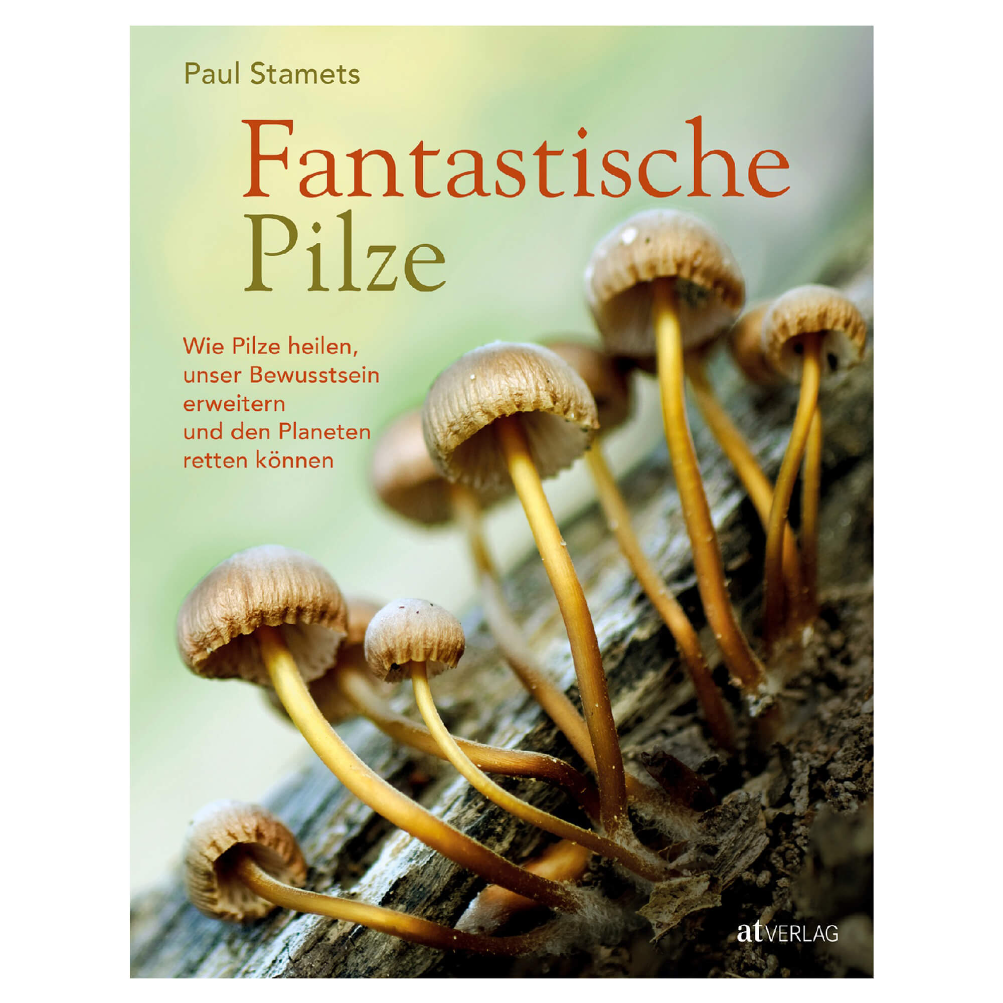 Fantastische Pilze