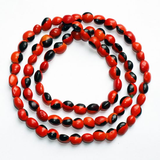 Huayruro Seeds Necklace