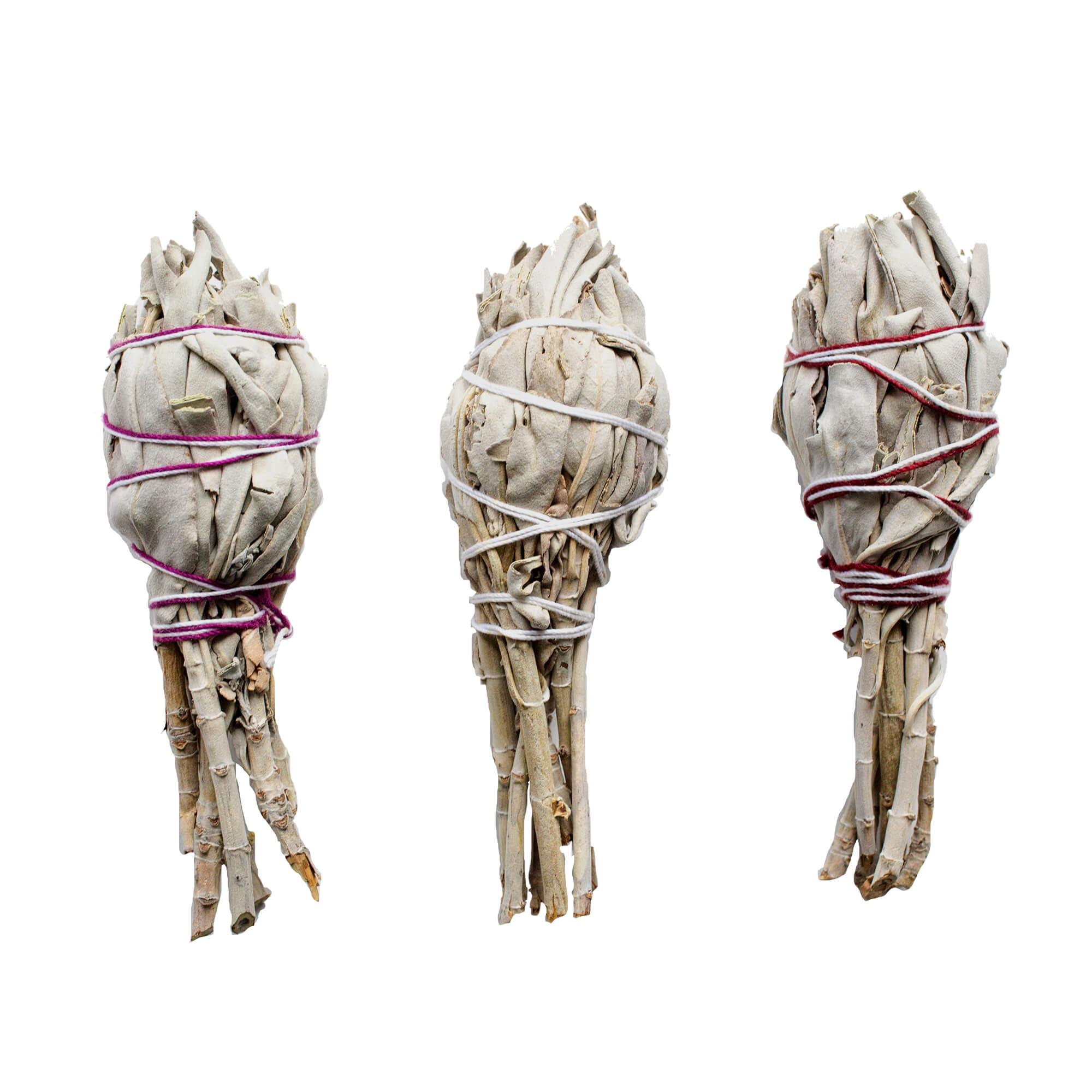 White Sage 3 Mini Smudge Sticks, Torch shape