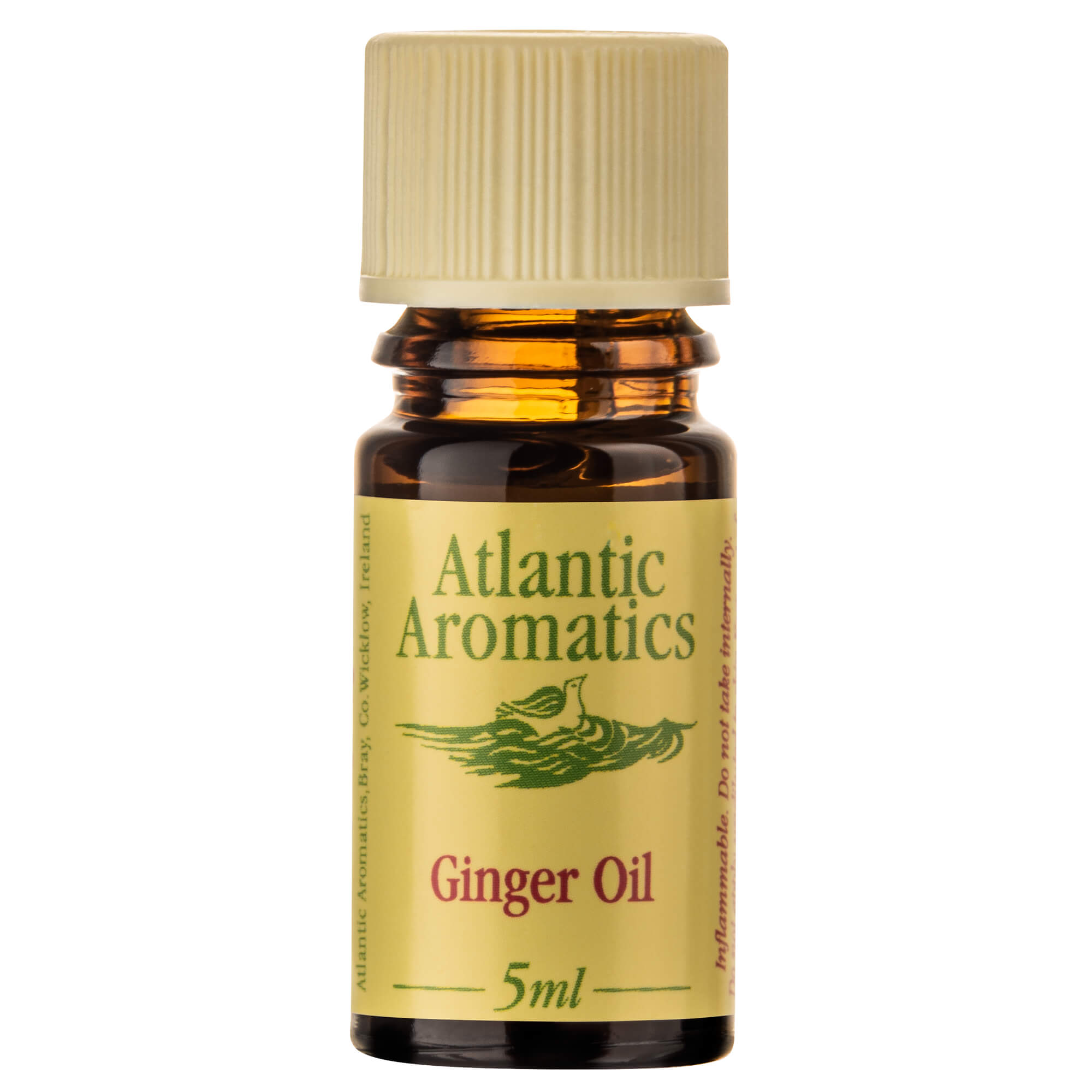 Ginger Essential Oil, organic