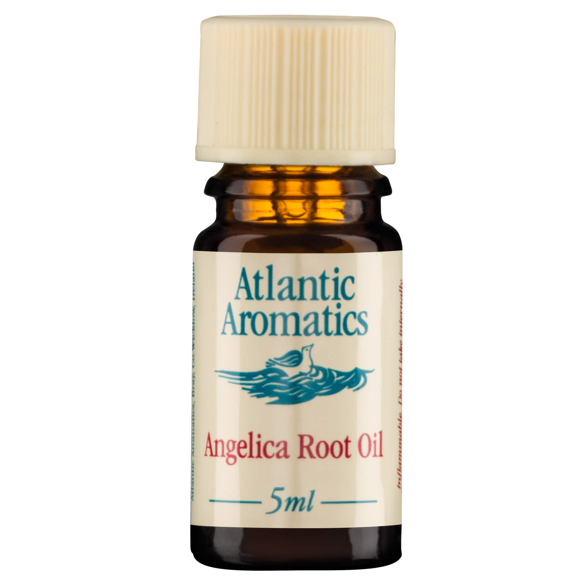 Angelica Root Essential Oil